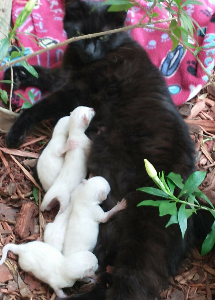 "� ���� ��������� ������ ����� �������� ���� ��������� ����� �����". ��������: www.reddit.com/r/pics
