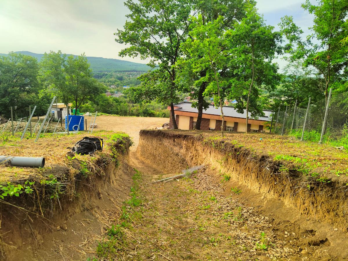 Наверху, в винограднике 