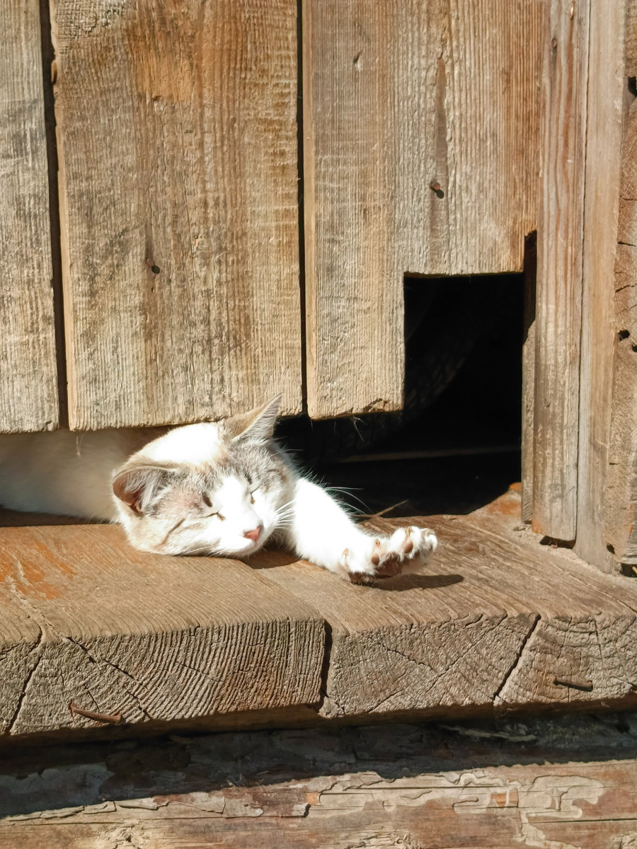 Фото автора