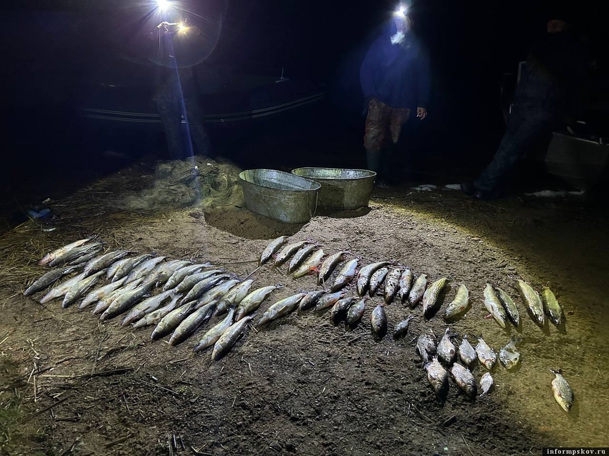 Фото с официального сайта СЗТУ (sztu.fish.gov.ru)