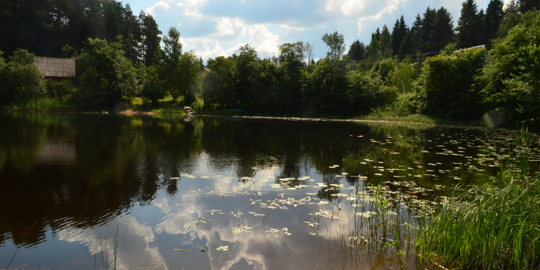 Как новгородцы решили получить бесплатный участок земли около озера Селигер и что из этого вышло