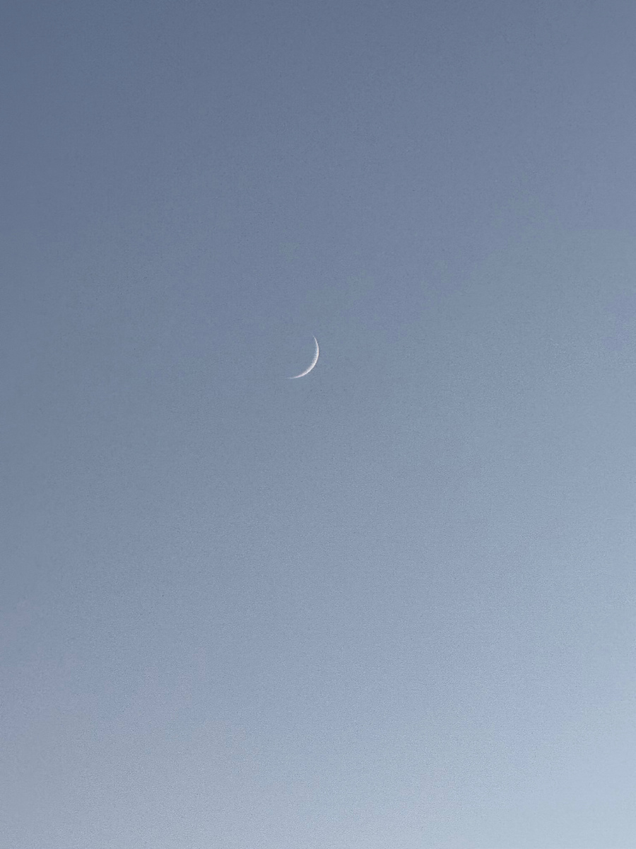 Молодой месяц, фото Сад в стиле Paradise ®