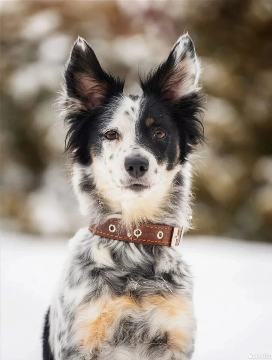 Я так жду, когда кто-то возьмёт меня на ручки и скажет: "Поехали домой!"