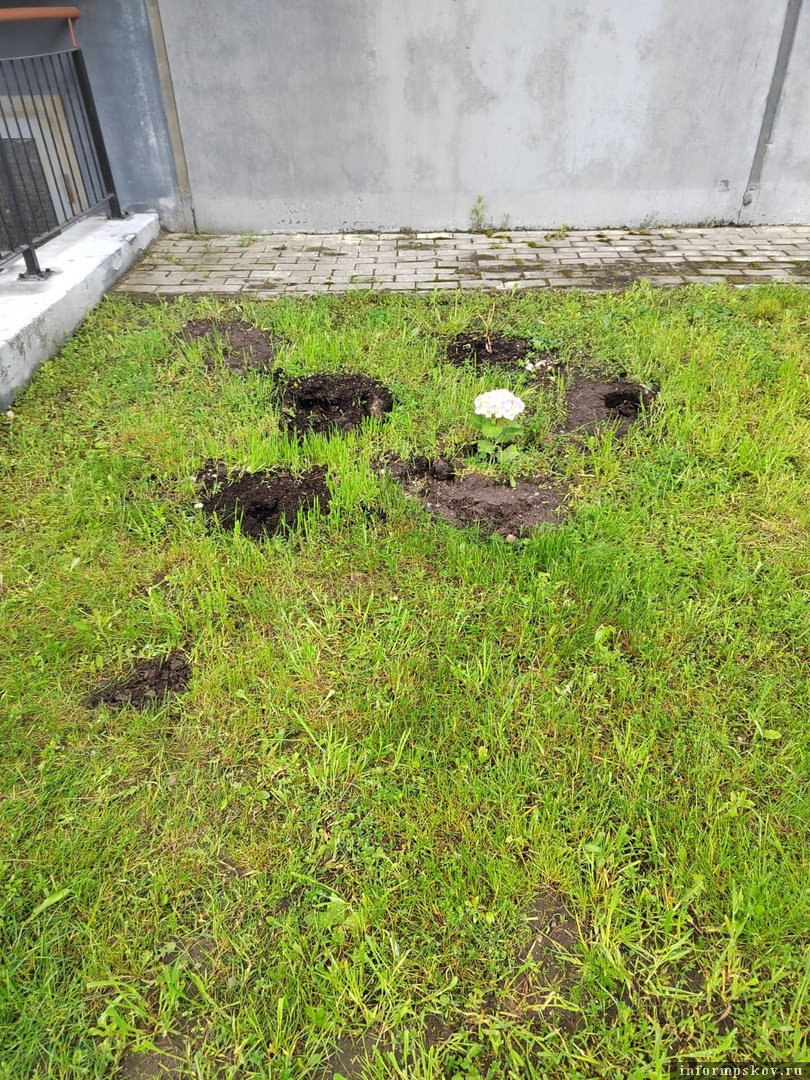 Фото из группы «Старое Запсковье, ДЭУ, Овсище – окраины Пскова» в соцсети «ВКонтакте»