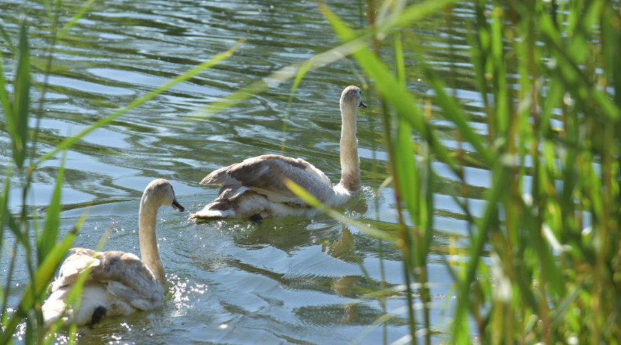    Фото: Сергей Барулин