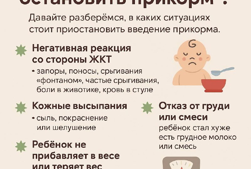 Когда нужно остановить прикорм