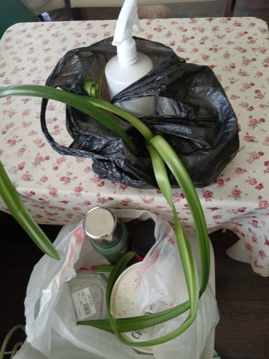 Вещи на дачу 