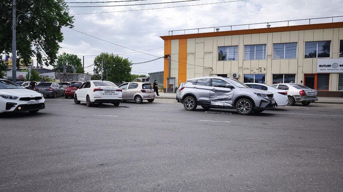    Фото: телеканал «Краснодар»