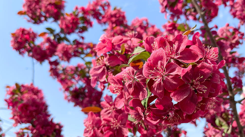 Фото: Игорь Елисеев / Коммерсантъ