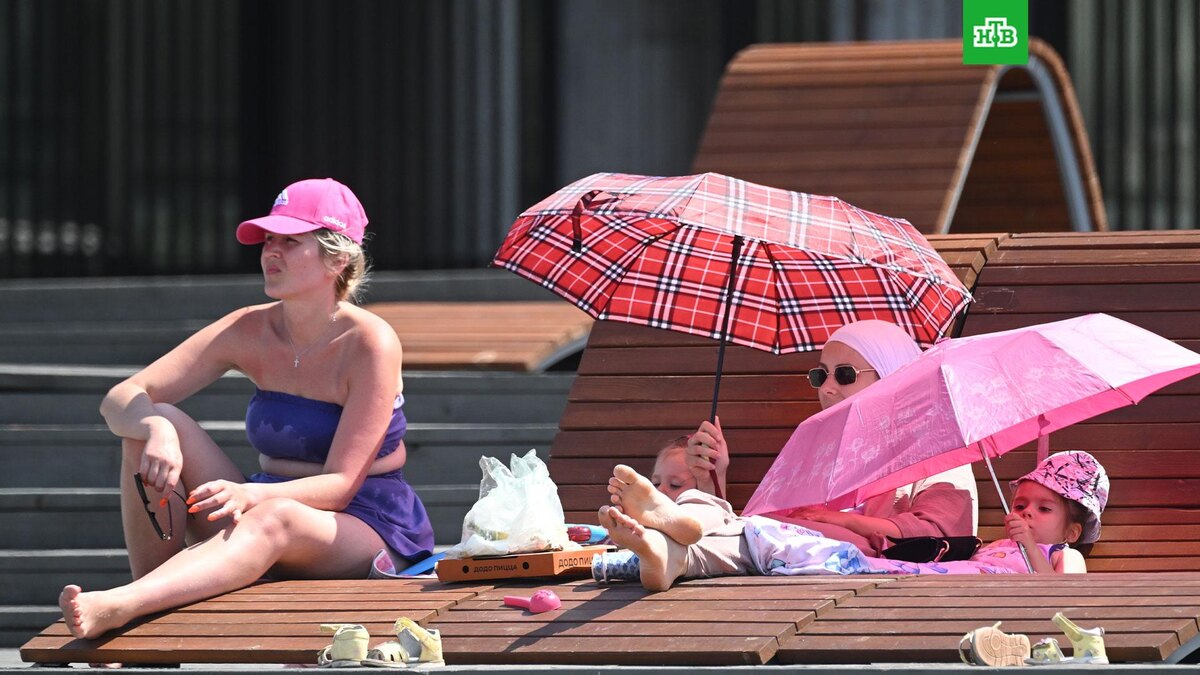    Фото: РИА Новости © 2025, Кирилл Каллиников