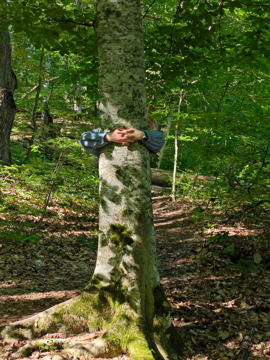Обнимать деревья в лесу - еще одно мое хобби)))