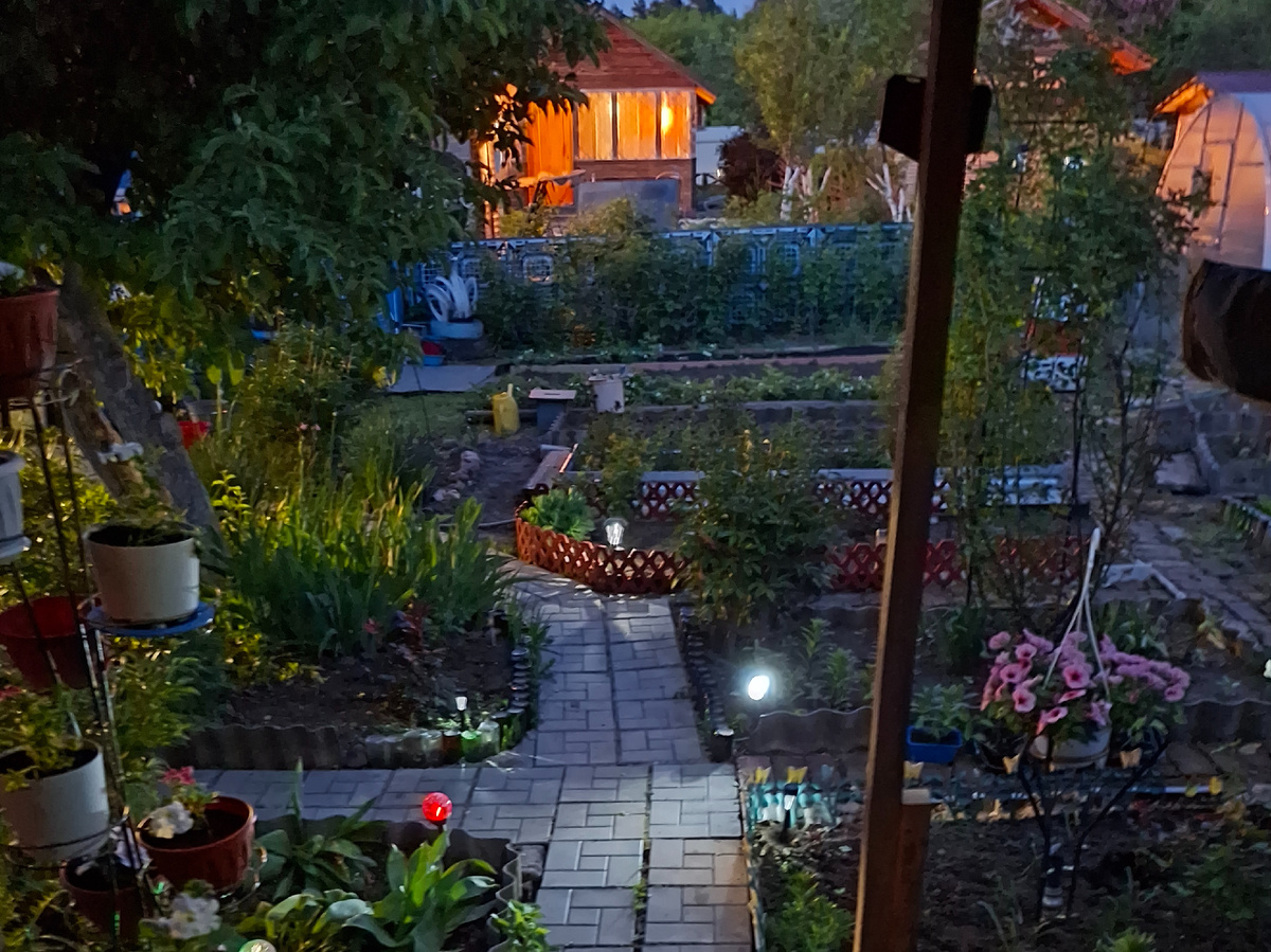 Вечером в саду