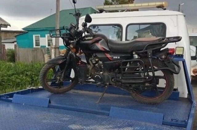    Фото: ГИБДД Новосибирской области