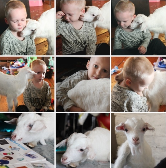 Козлик Марусенька успокаивает моего ребенка и учится читать