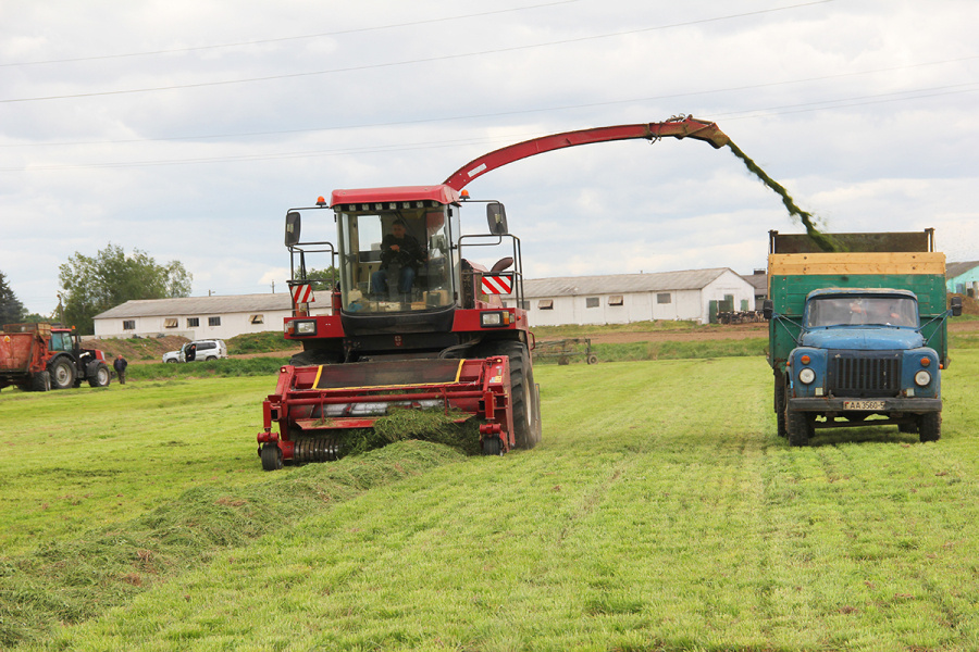     О положении дел в сельскохозяйственной отрасли Копыльского района