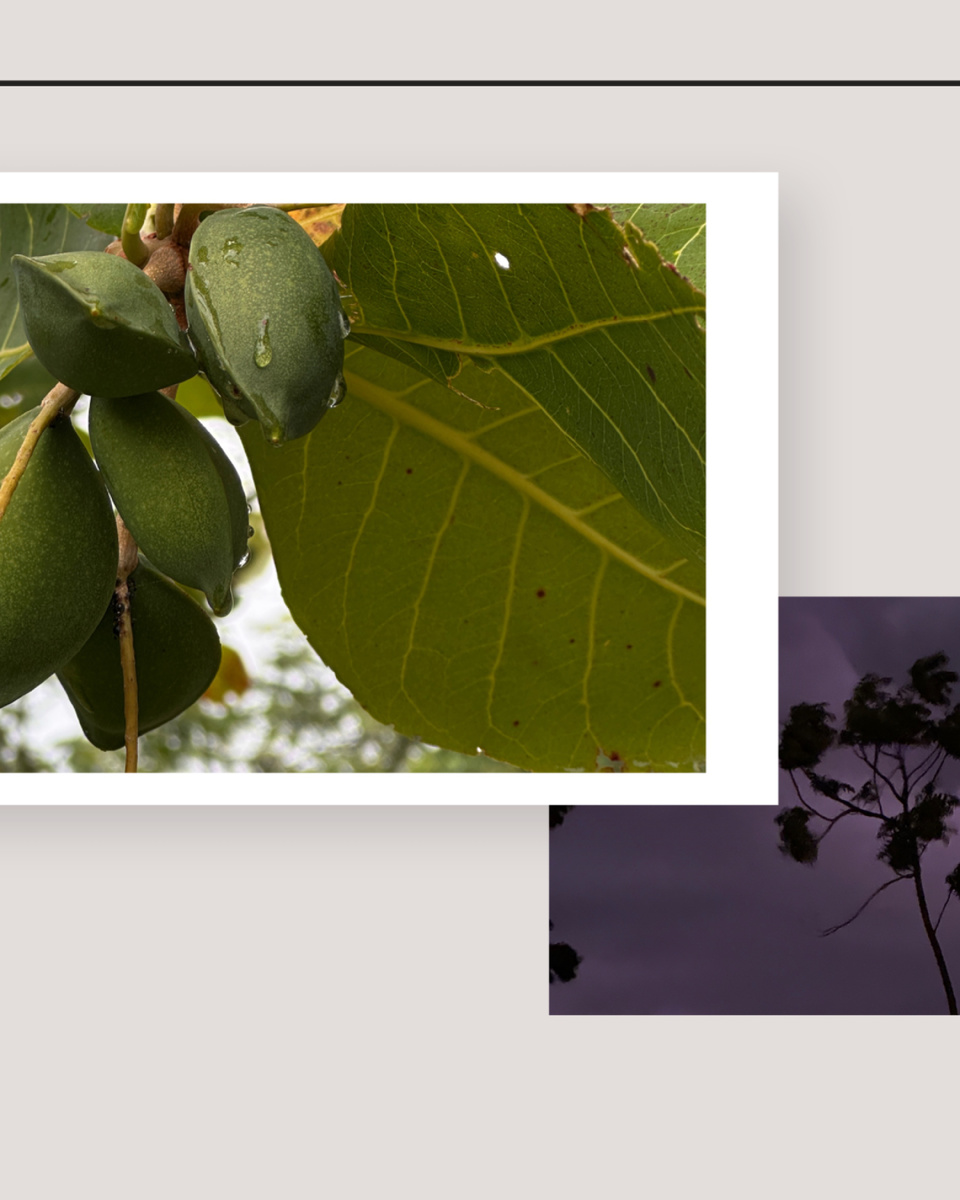 Контрасты континента 