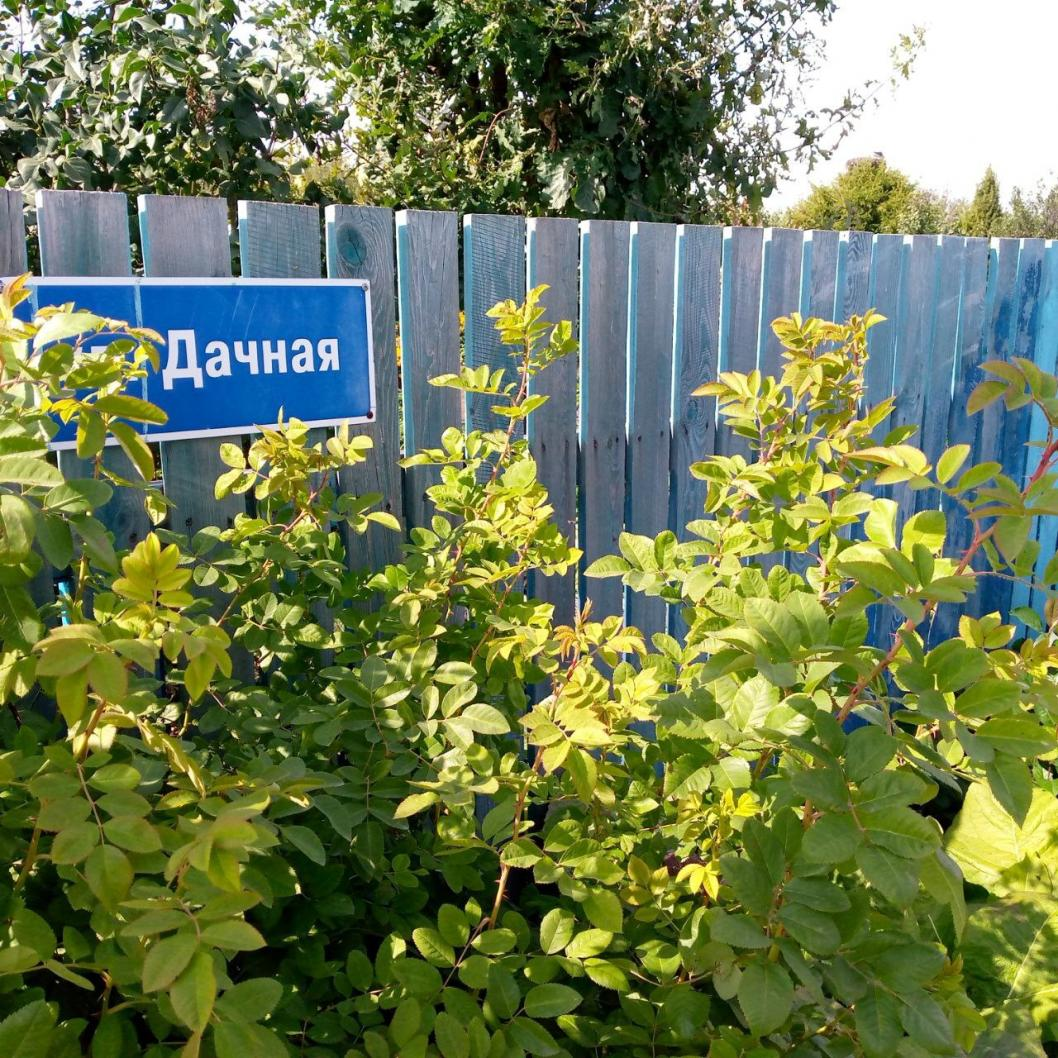 Фото: ИА "Тюменская линия"