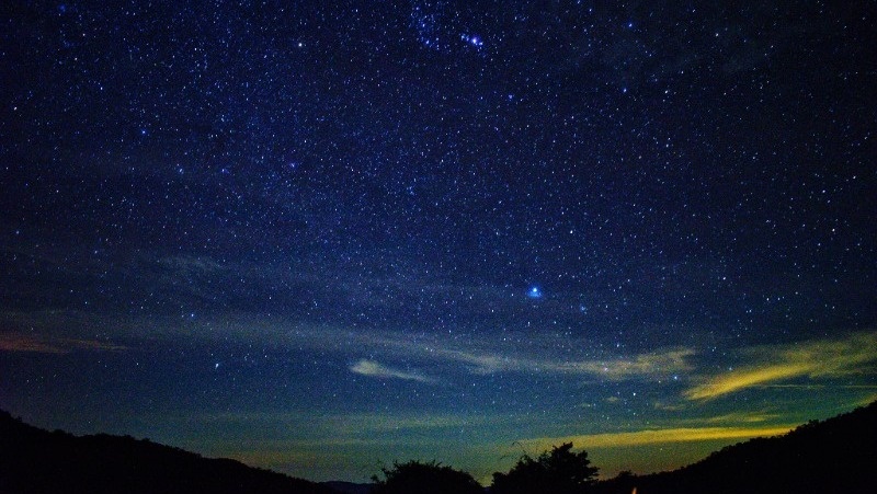      Фото: @EyeEm / freepik.com