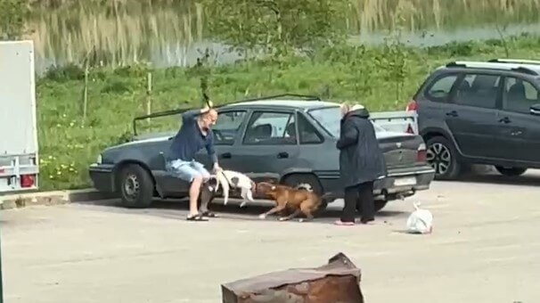    Фото: ЧП Кострома