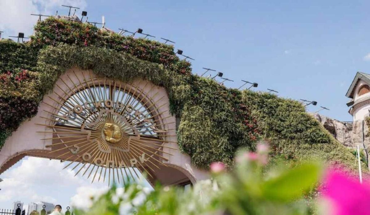     Вход в Московский зоопарк. Источник: mos.ru Автор фото: Пресс-служба Мэра и Правительства Москвы