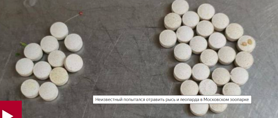    Попытка отравления животных в Московском зоопарке: заявление директора