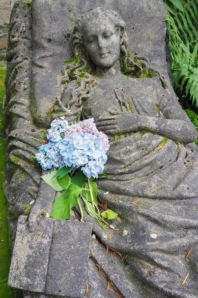 Из открытых источников 