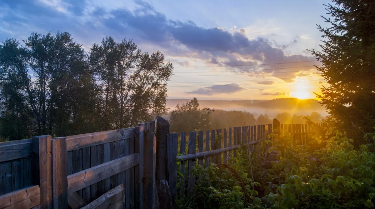 Яндекс картинки