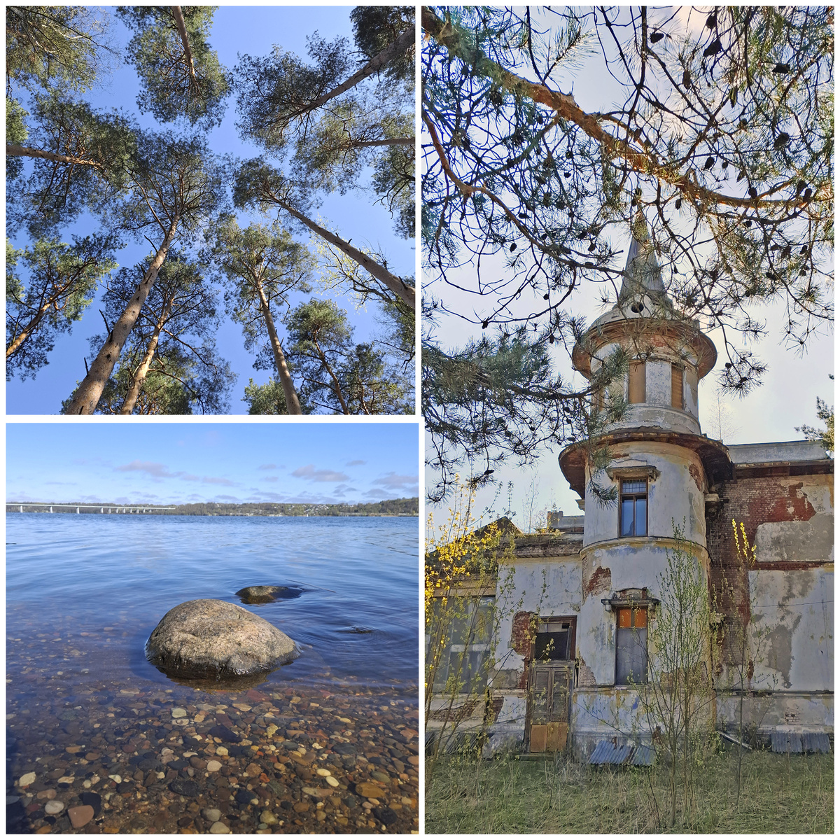 Кинешма. Заброшенная усадьба «Отрадное». Фото автора.