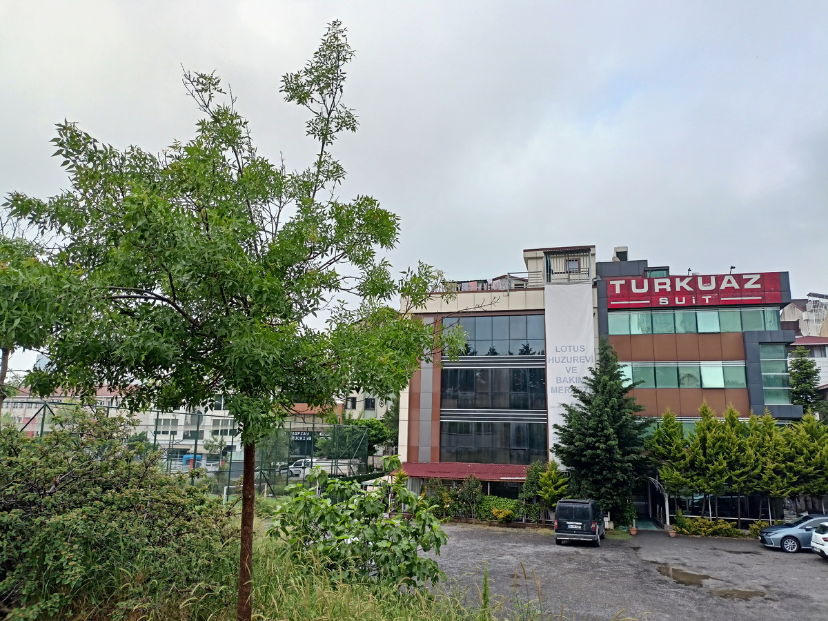 Неожиданное временное пристанище.