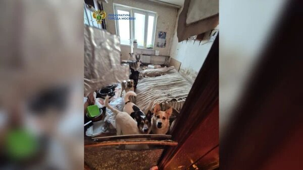 Фото: ПРОКУРАТУРА МОСКВЫ