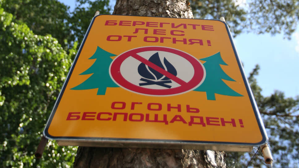 Фото: Григорий Собченко / Коммерсантъ