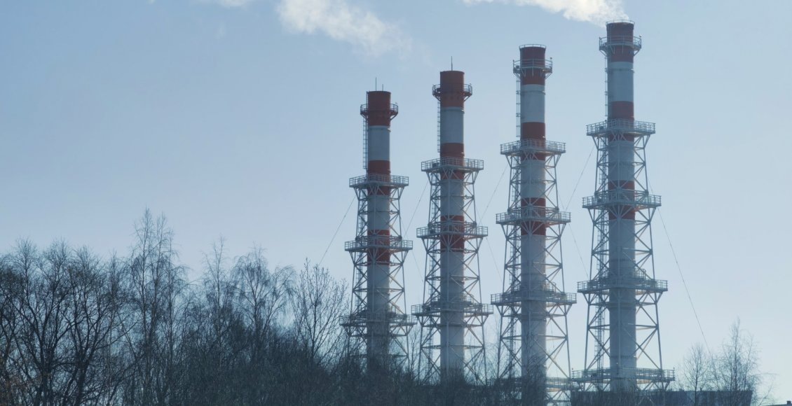    Фото: НИА "Экология"