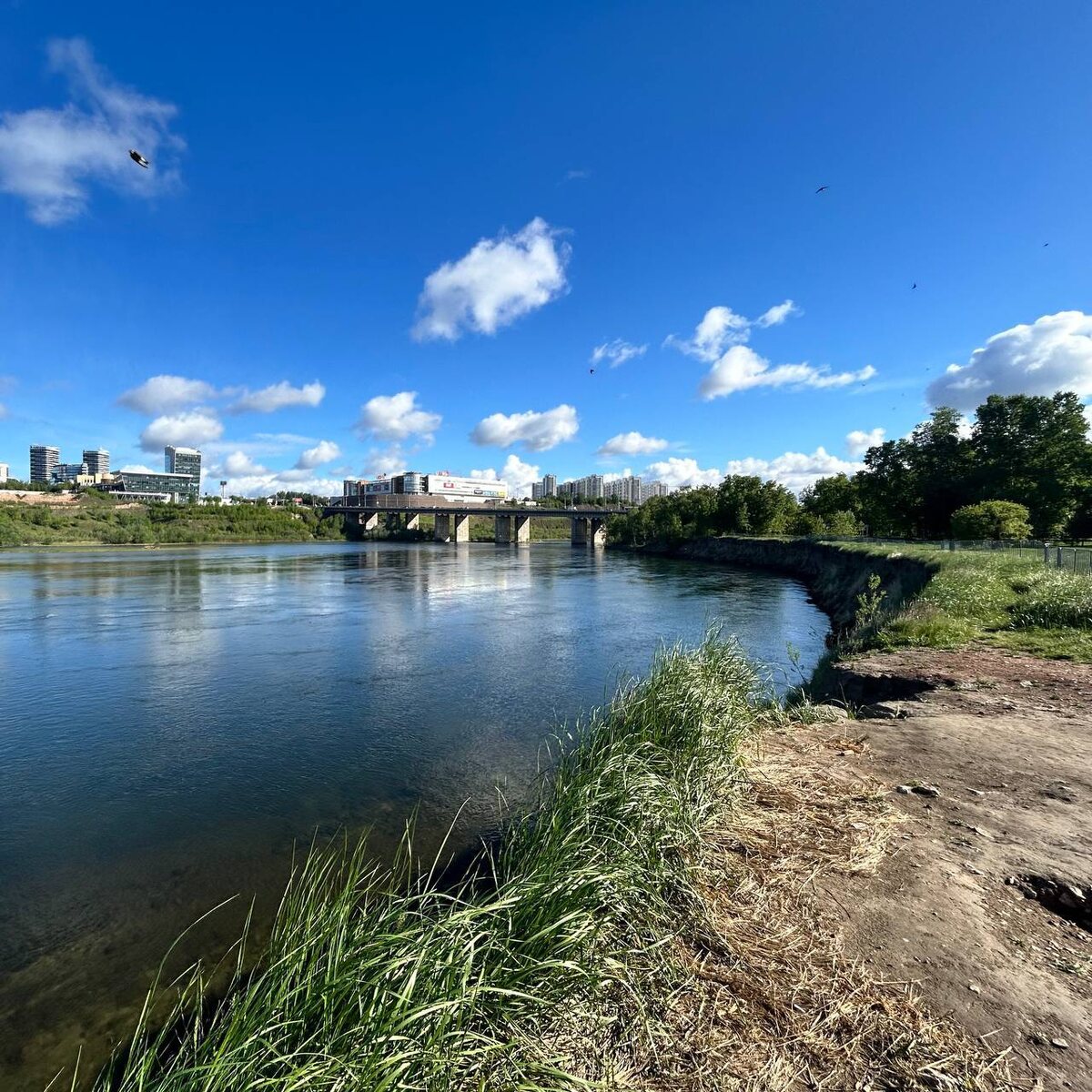     Берег острова Татышев в Красноярске планируют укрепить за 80 млн рублей