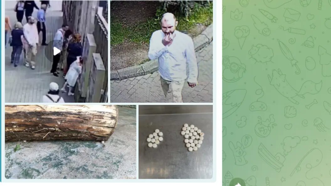    фото: тг-канал baza.