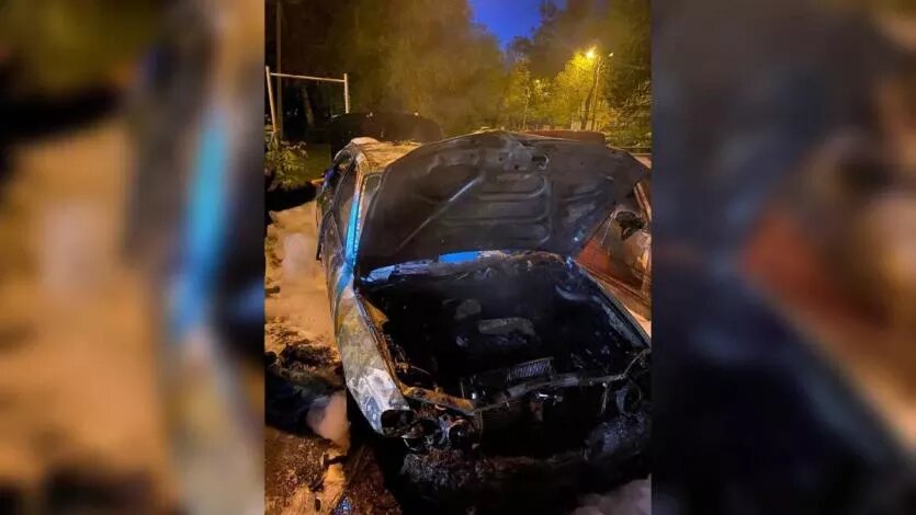 Фото: ГУ МВД России по Челябинской области