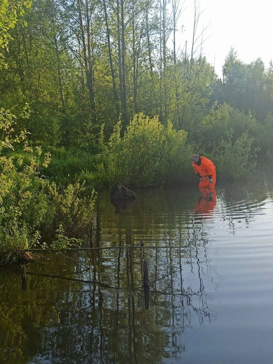     Источник: t.me/Поисково-спасательная служба Удмуртии