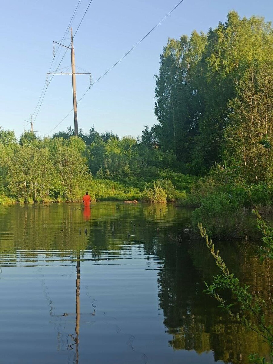     Источник: t.me/Поисково-спасательная служба Удмуртии