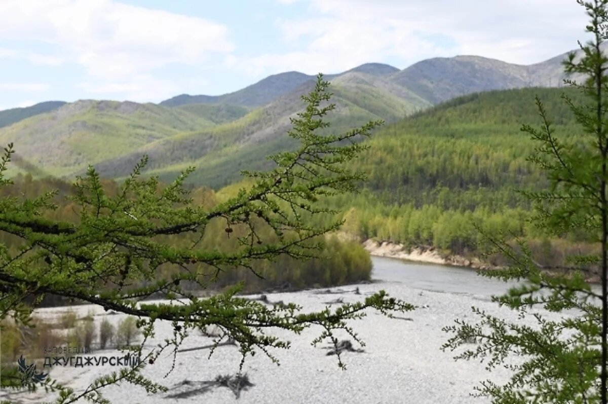    На Ямале запустили цифровой сервис для присутствия в заповедных зонах