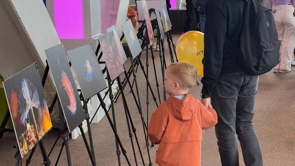     Источник: пресс-служба правительства Новосибирской области