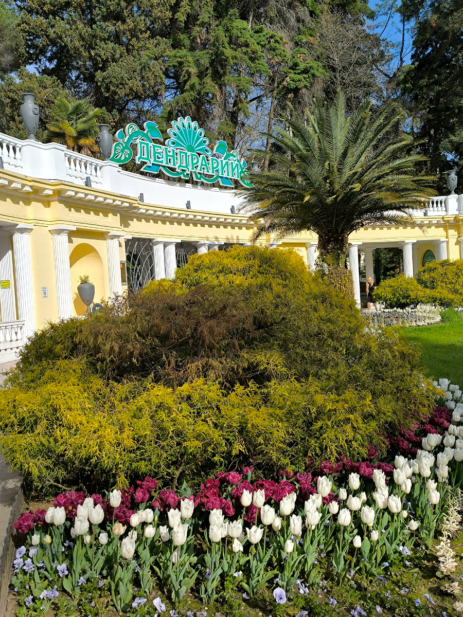 Вход в дендропарк