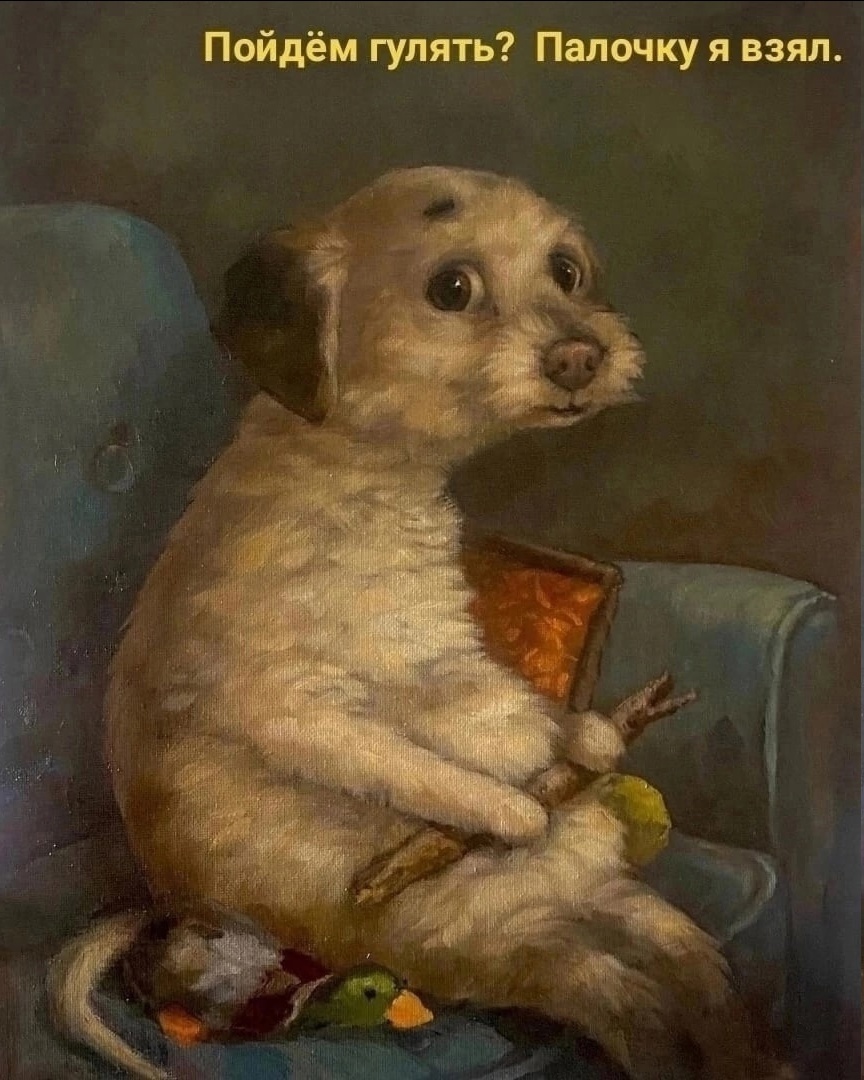 Здесь и далее фото с Яндекс.картинки