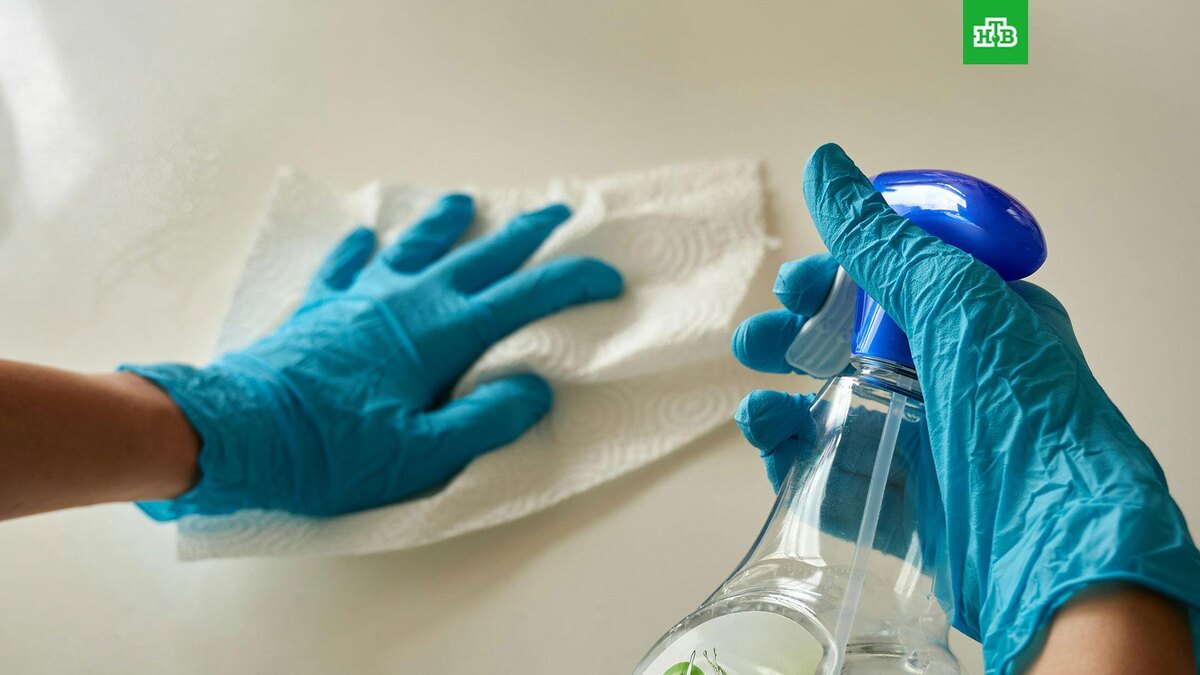    Фото: Anton / unsplash.com