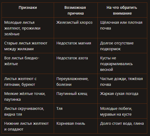 Желтеют листья ежевики