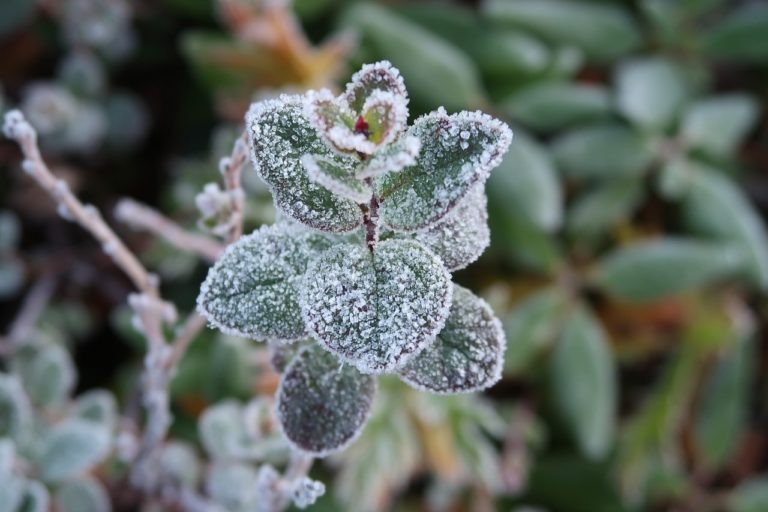    Фото: pixabay.com/Natalia_Kollegova Дмитрий Андреев