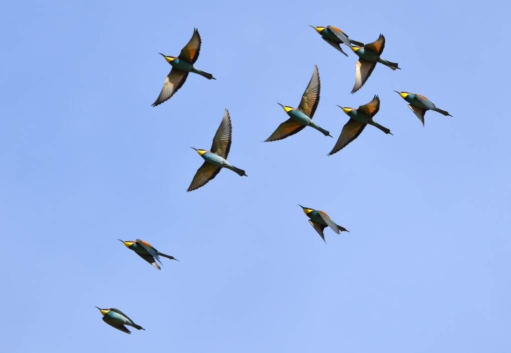    Фото Татьяны Калугиной