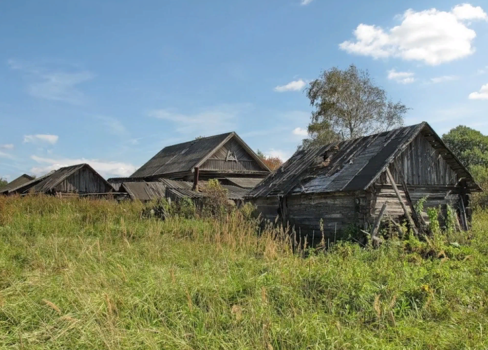 Фото из открытых источников