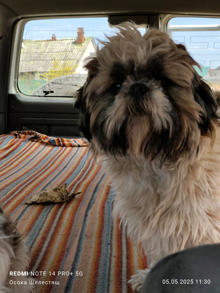 Машина- дом родной!