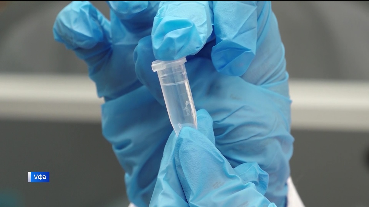    Уфимские ученые-генетики научились предугадывать вероятность возникновения рака по молекулам ДНК