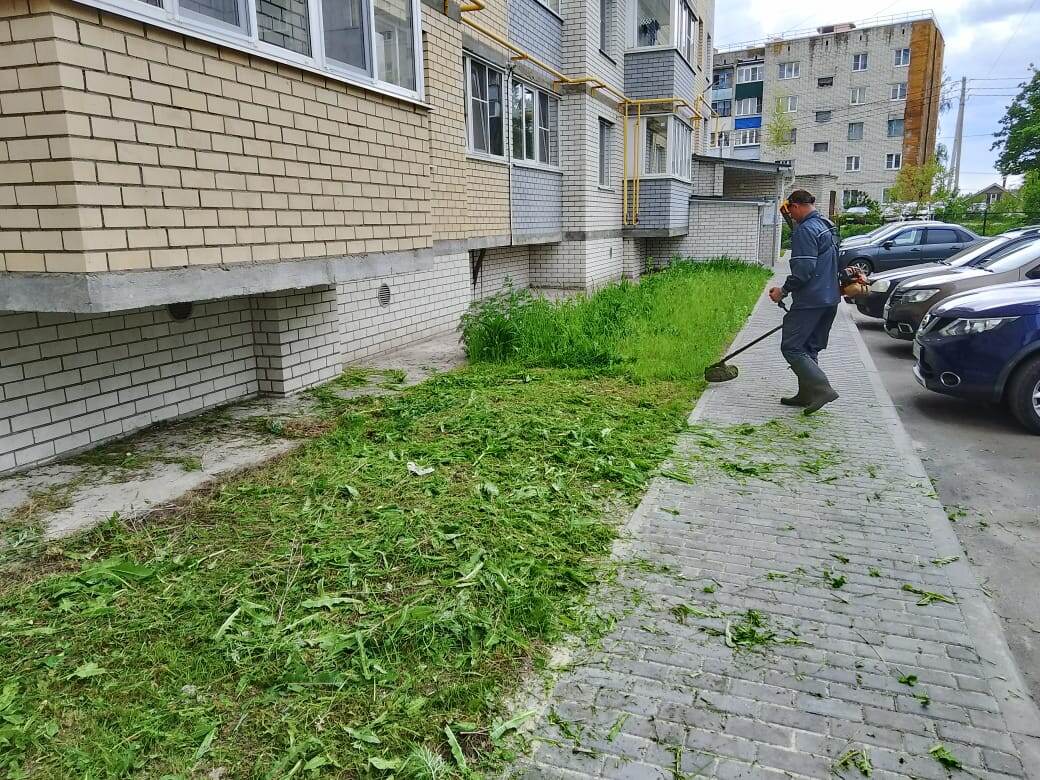 Фото: Администрация Курска