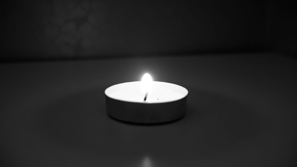    Фото: архив progorod